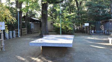 境内（石板卓球台）