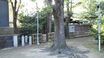 神社裏
