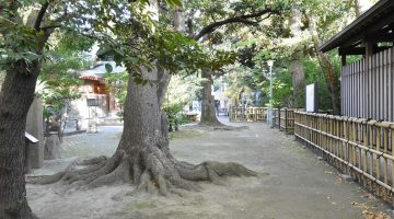 神社裏