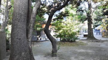 神社裏