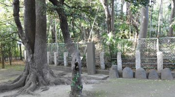 神社裏