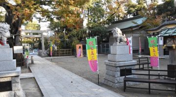 境内