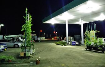 千葉県　ガソリンスタンド
